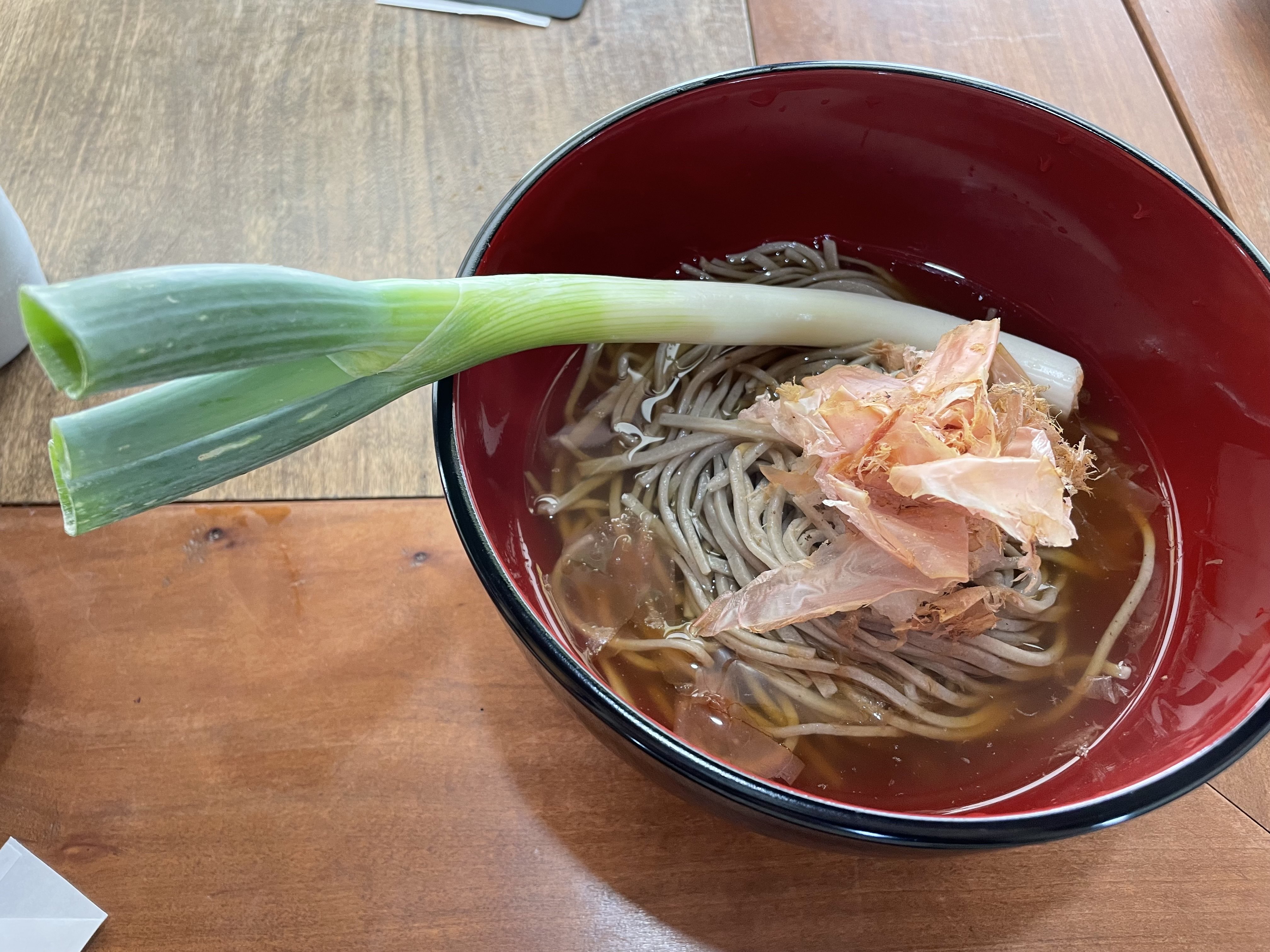 蕎麦の器に長いネギ